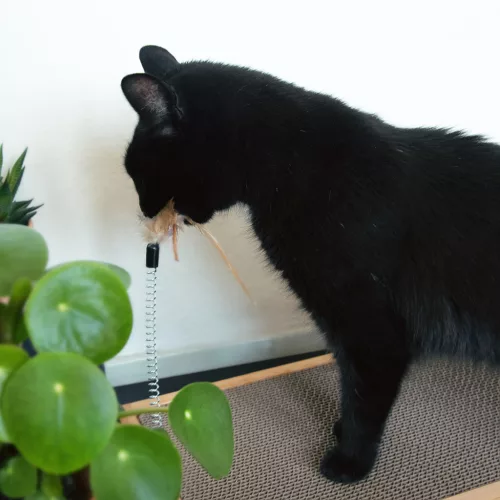 Set 2 placi de zgariat si jucarie cu pana Navaris, pentru pisici, carton, maro, 46754.03