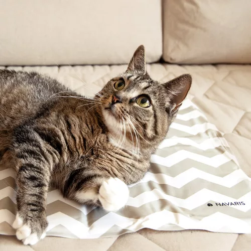 Охлаждаща постелка за кучета и котки, 50 х 90 см, 51184.2