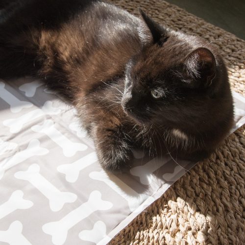 Охлаждаща гел постелка Navaris за домашни любимци, 50 х 90 см, 51240.2