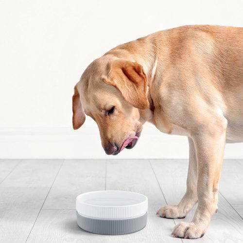 Комплект от 2 купички за котки и кучета Navaris, Anti-slip, Grey, 53411.22