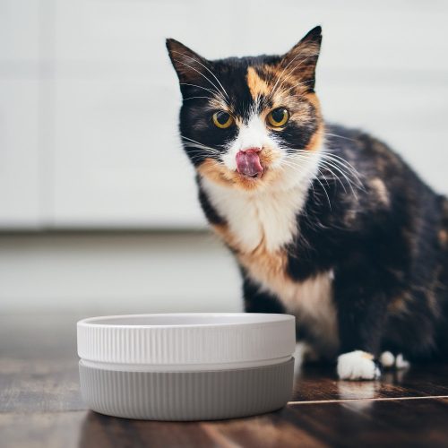 Комплект от 2 купички за котки и кучета Navaris, Anti-slip, Grey, 53411.22