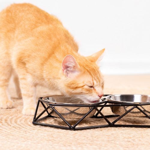 Комплект от 2 купи Navaris от неръждаема стомана за кучета и котки с метална опора, 54103.01