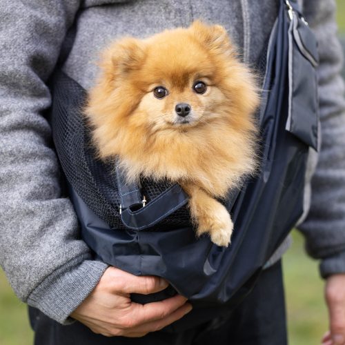 Раница за домашни любимци Navaris, Полиестер, Черна, 55577.17