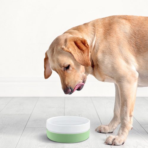 Комплект от 2 купи за котки и кучета Navaris, Anti-slip, Green, 53411.07