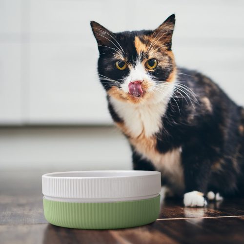 Комплект от 2 купи за котки и кучета Navaris, Anti-slip, Green, 53411.07