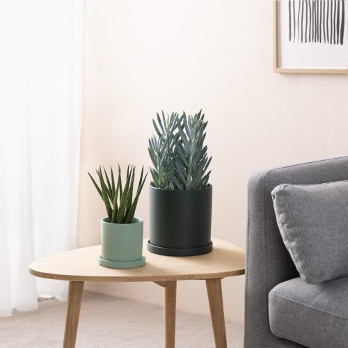 Set 2 ghivece pentru plante Navaris, ceramica, 17 cm si 11 cm, cu farfurii, 56332.3.07