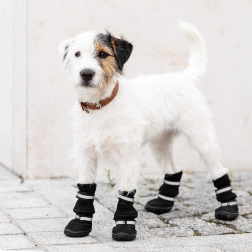 Чехли против плъзгане за кучета Navaris размер S, Черни, Текстил, 57209.1