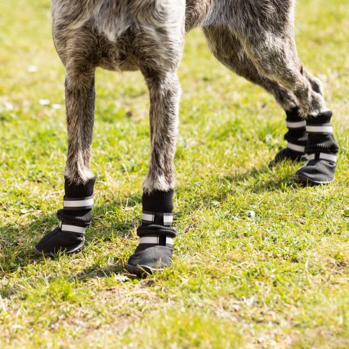 Чехли против плъзгане за кучета Navaris размер L, Черни, Текстил, 57209.3