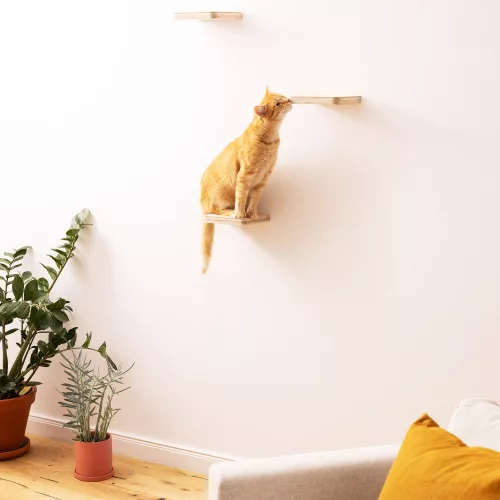 Мебел за катерене на котки Navaris, кремава, дърво, 59243.01