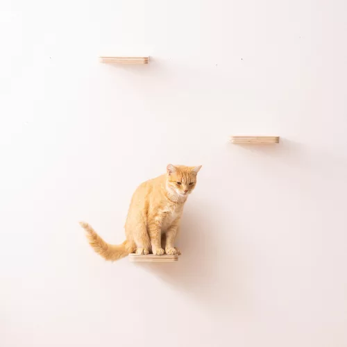 Мебел за катерене на котки Navaris, кремава, дърво, 59243.01