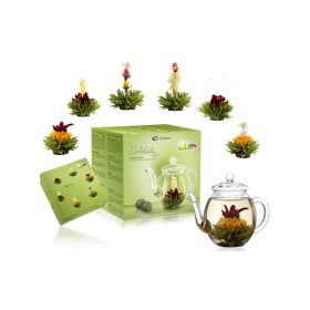   Подаръчен комплект цъфтящ чай Creano със стъклен чайник 500 мл, 6 разновидности плодов зелен чай