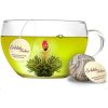 Подаръчен комплект цъфтящ чай Creano Teelini, стъклена чаша 200 мл с капак, 8 пакетчета зелен чай