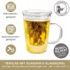 Cana pentru ceai Creano, 400 ml, sticla borosilicata, cu infuzor si capac din sticla